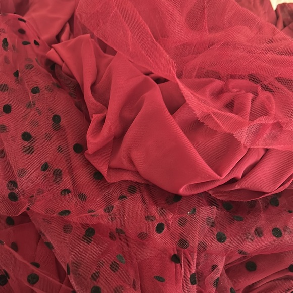 Draper James RSVP Burgundy Tulle Skirt - Picture 6 of 6